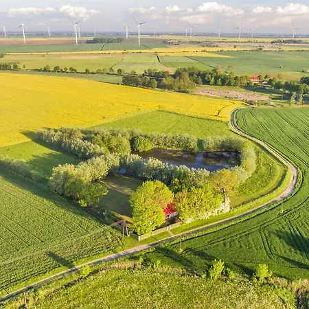 Nad Wierzbowym Stawem Swierznica