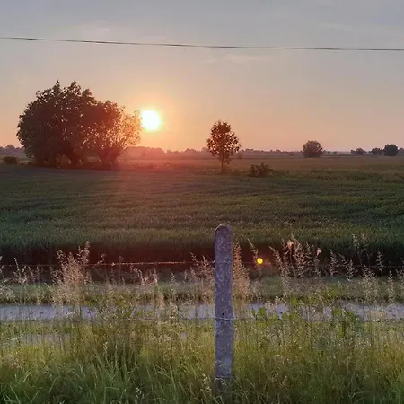Nad Wierzbowym Stawem * Swierznica