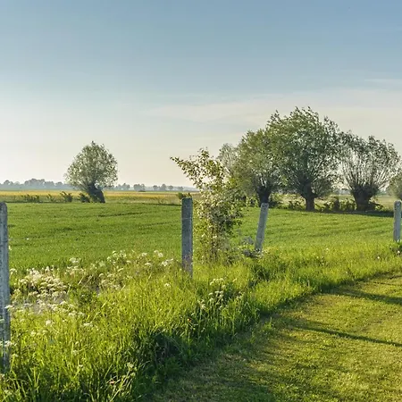 Nad Wierzbowym Stawem Swierznica