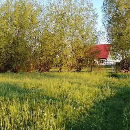 Nad Wierzbowym Stawem Country house *