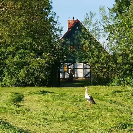 Nad Wierzbowym Stawem Country house