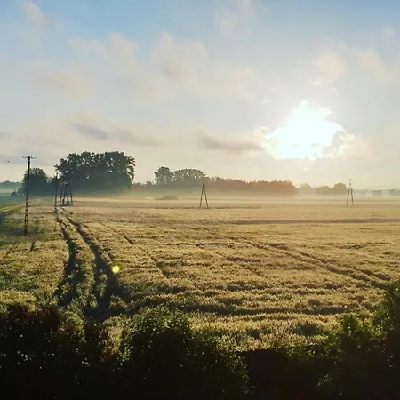 Nad Wierzbowym Stawem Landsted Swierznica
